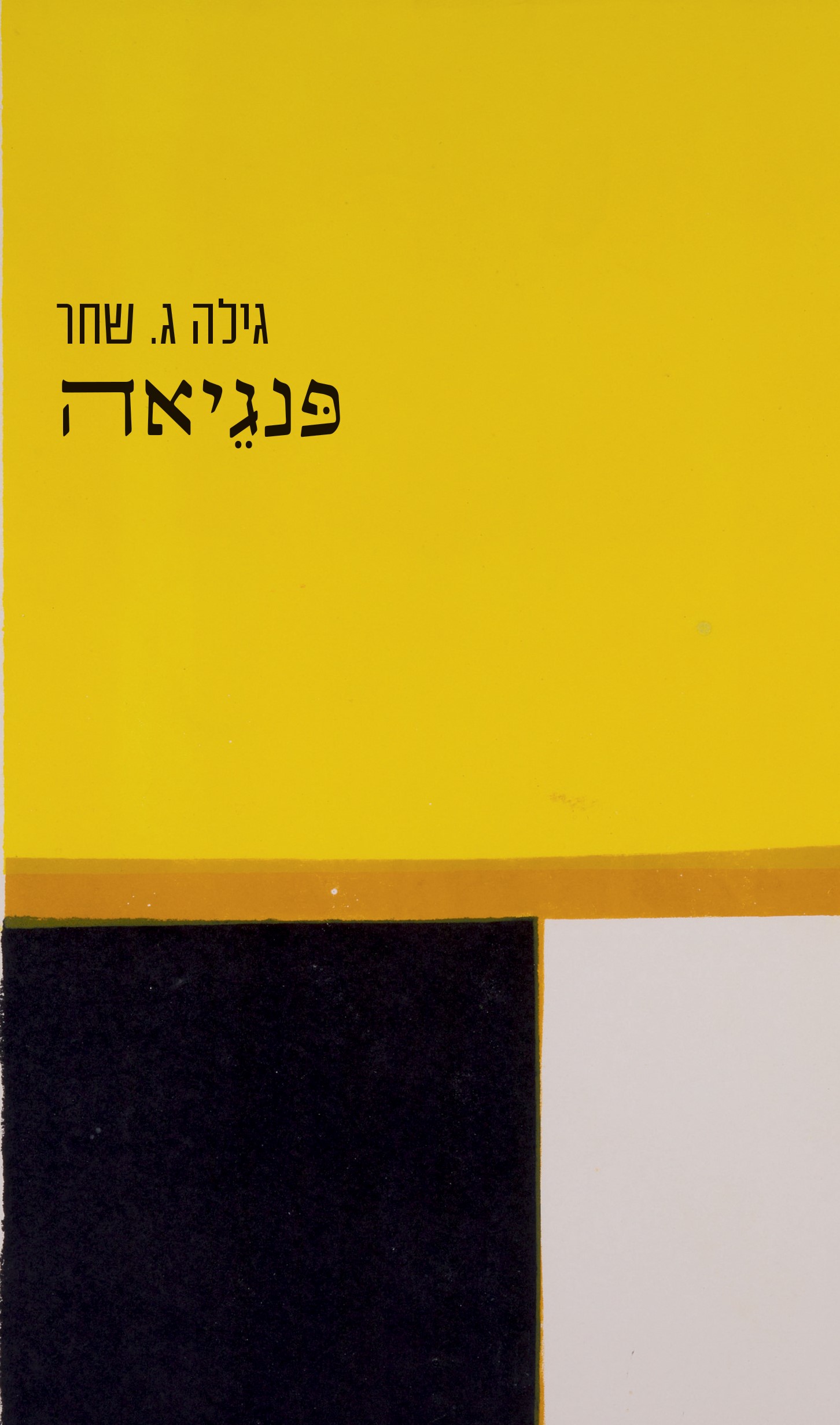 gila-shachar-book